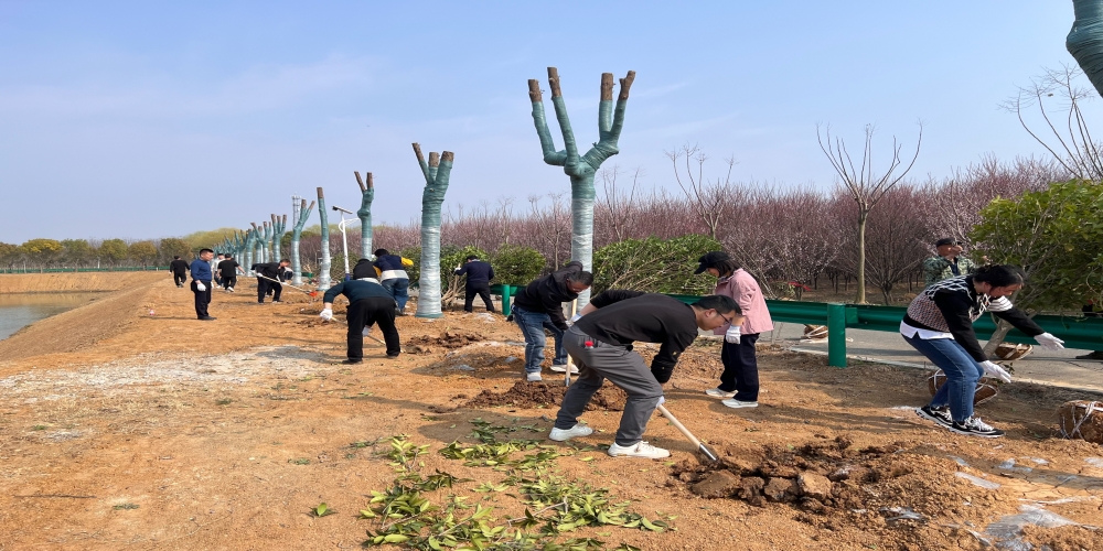 黨建引領(lǐng)共植綠 凝心聚力譜新篇 ——和合生態(tài)、德嘉置業(yè)黨支部赴小廟基地義務(wù)植樹